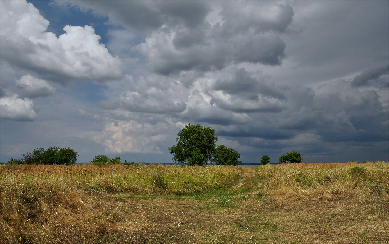 photo "***" tags: landscape, clouds, grass, road, summer, деревья