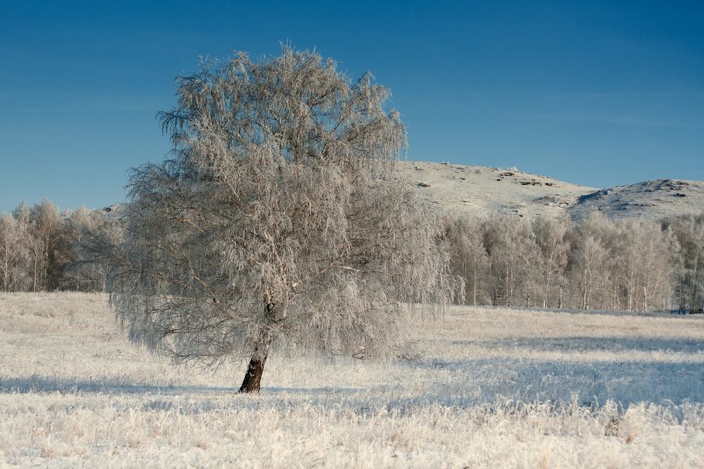 photo "***" tags: landscape, nature, misc., 