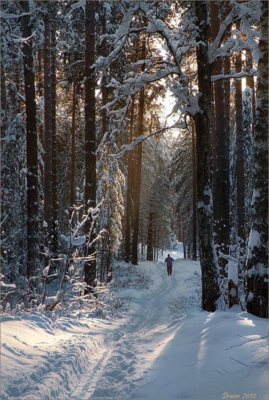 фото "В зимнем лесу" метки: пейзаж, жанр, 