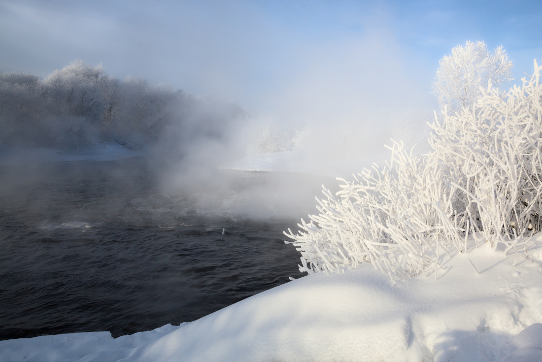 photo "***" tags: landscape, fog, forest, hoarfrost, snow, water, winter, Речка, деревья, мороз, поток