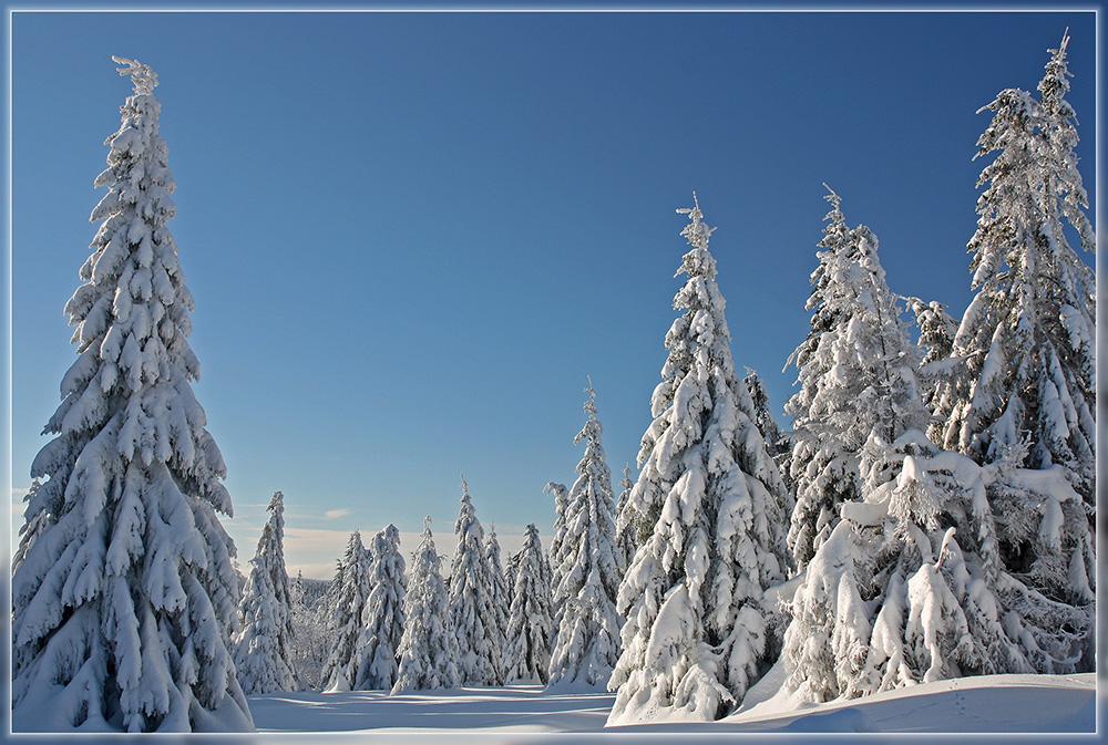 фото "***" метки: , 