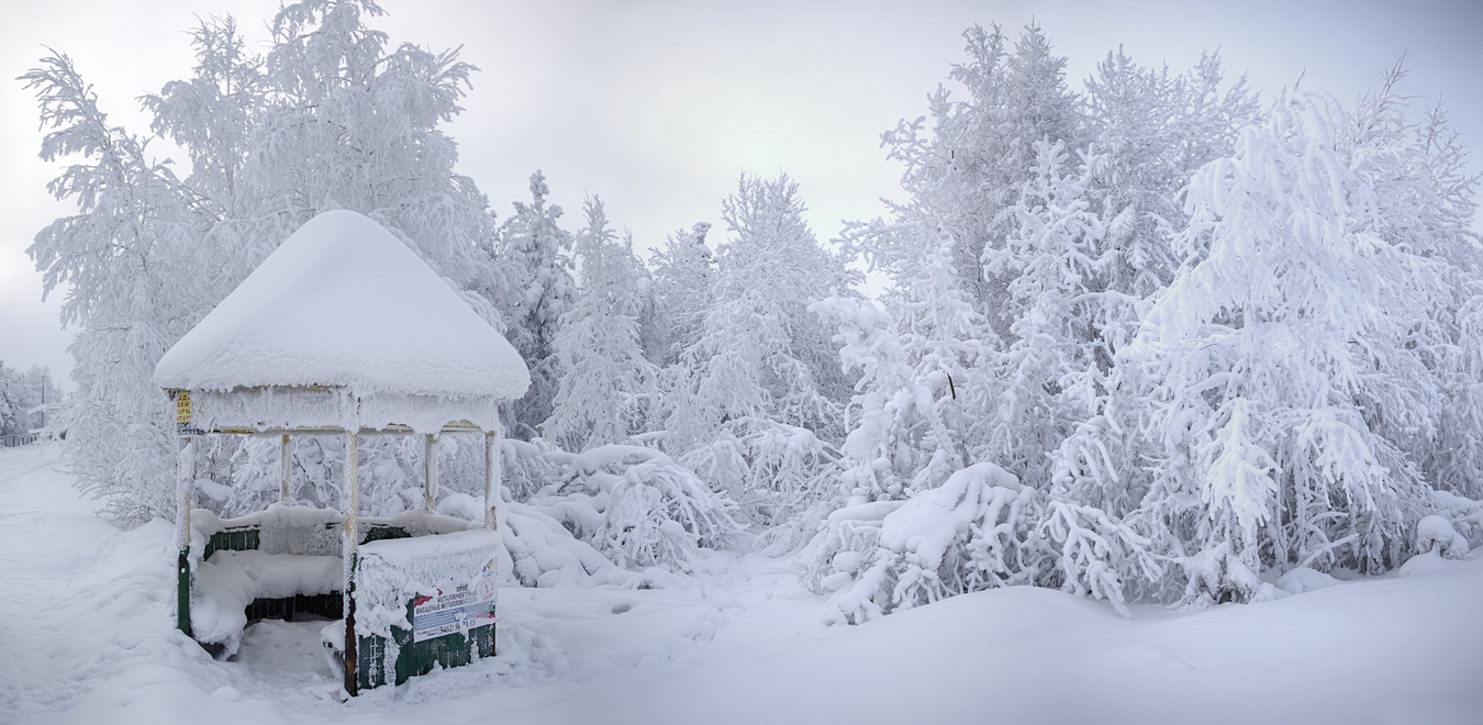 фото "Таинственная беседка" метки: пейзаж, природа, беседка, зима, снег