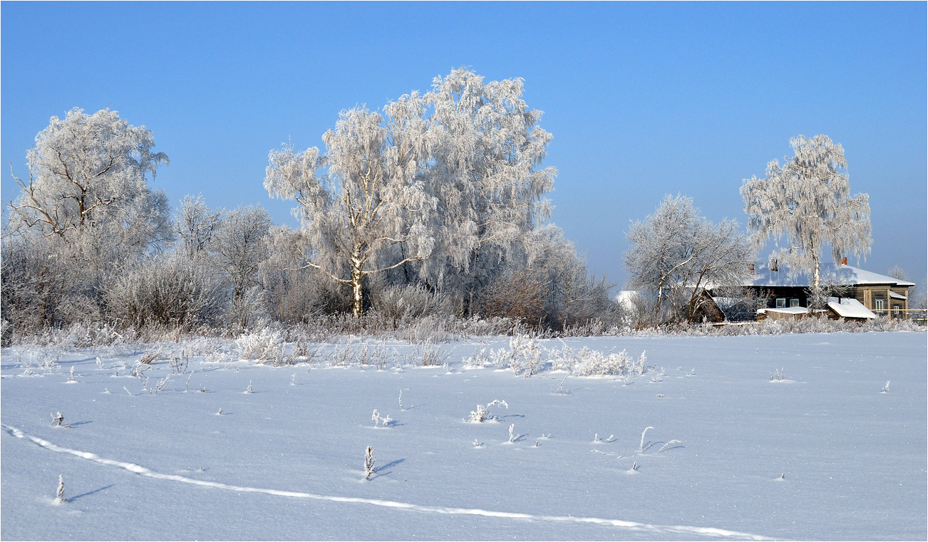 фото "За околицей" метки: пейзаж, березы, деревья, зима, иней, снег