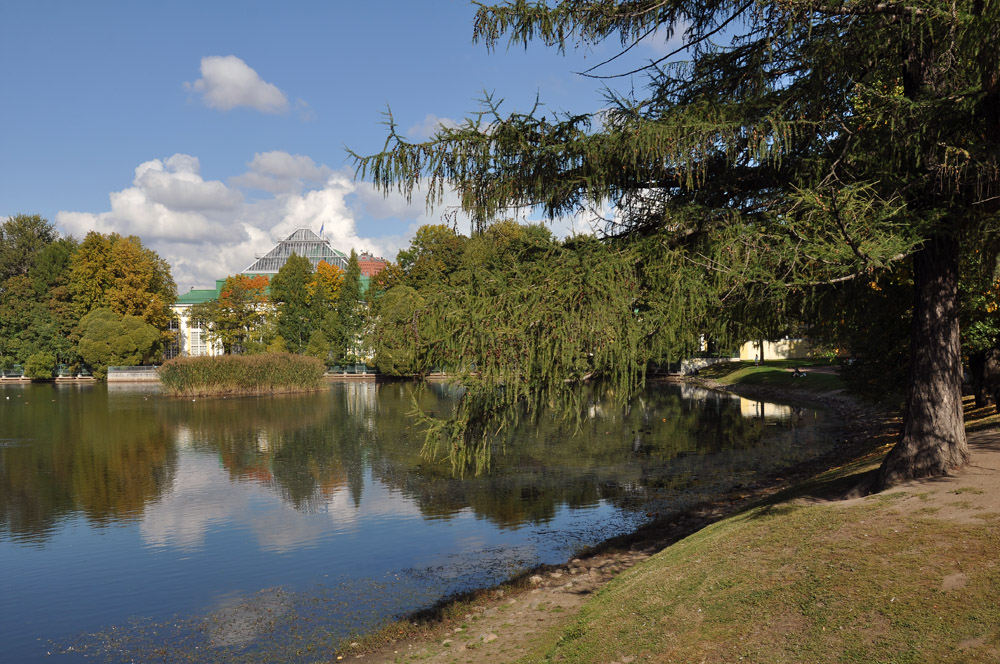 фото "Таврический сад" метки: пейзаж, Санкт-Петербург, осень, парк
