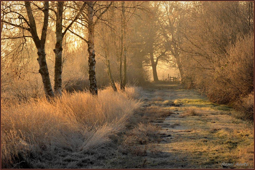 photo "***" tags: landscape, nature, street, sunrise, winter