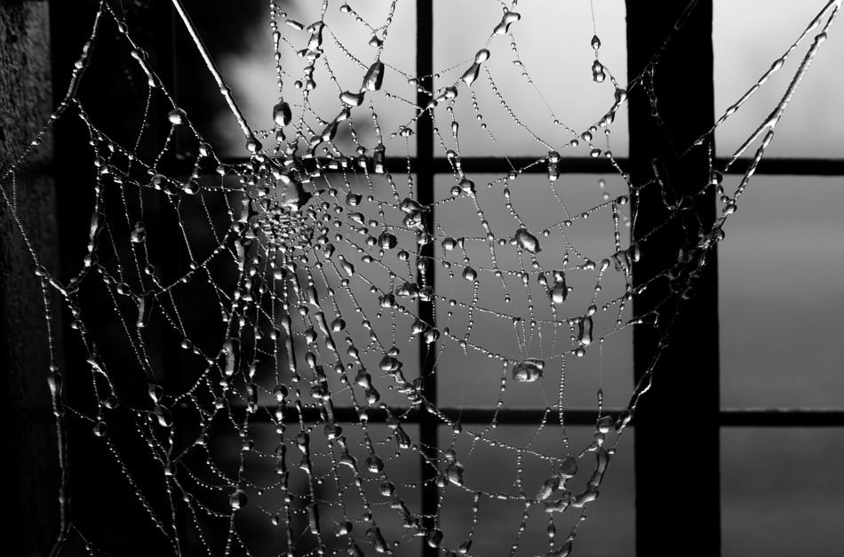 фото "***" метки: природа, 