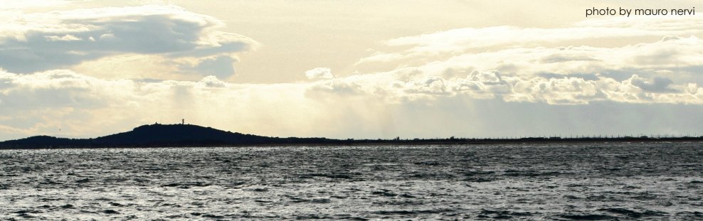 photo "moments in the evening" tags: landscape, 