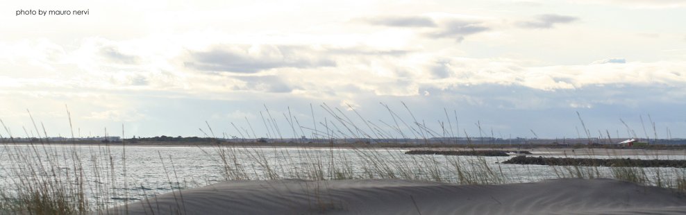 photo "sand and sea" tags: landscape, 