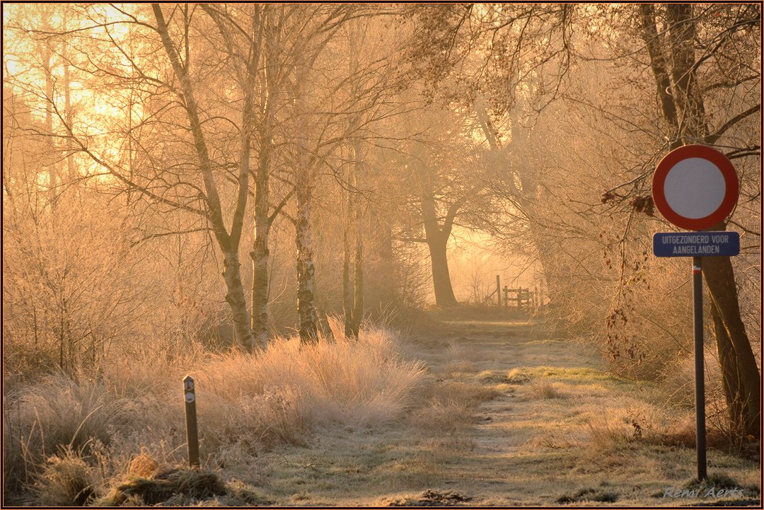 photo "***" tags: landscape, nature, street, sunrise, winter