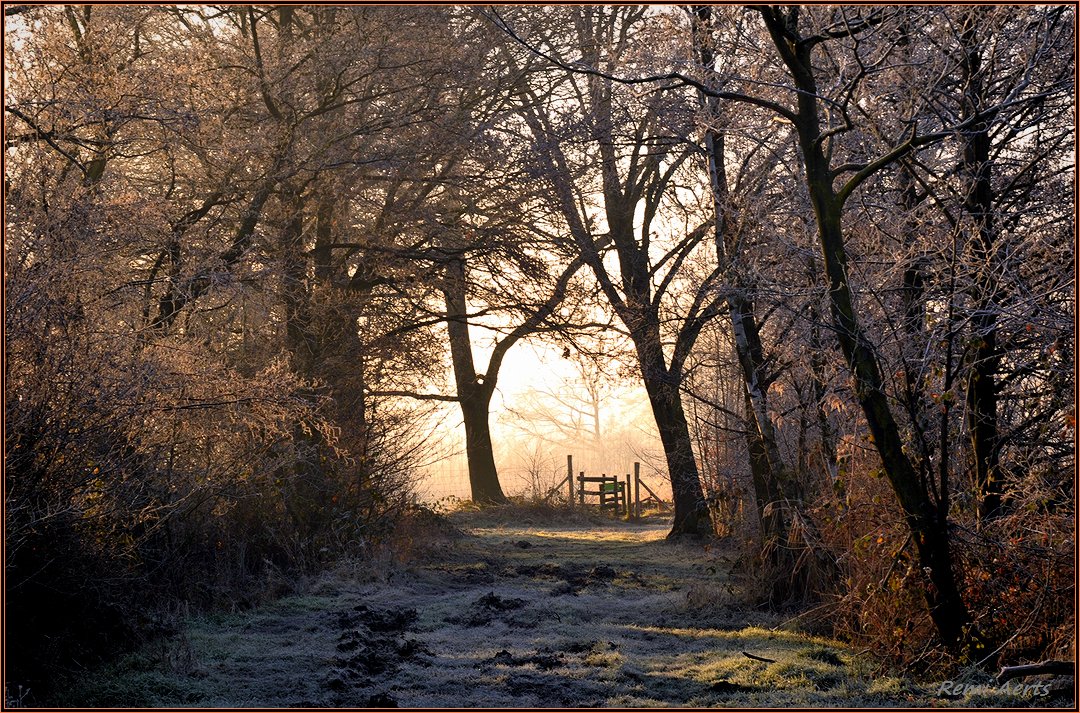 photo "***" tags: landscape, nature, street, sunrise, winter