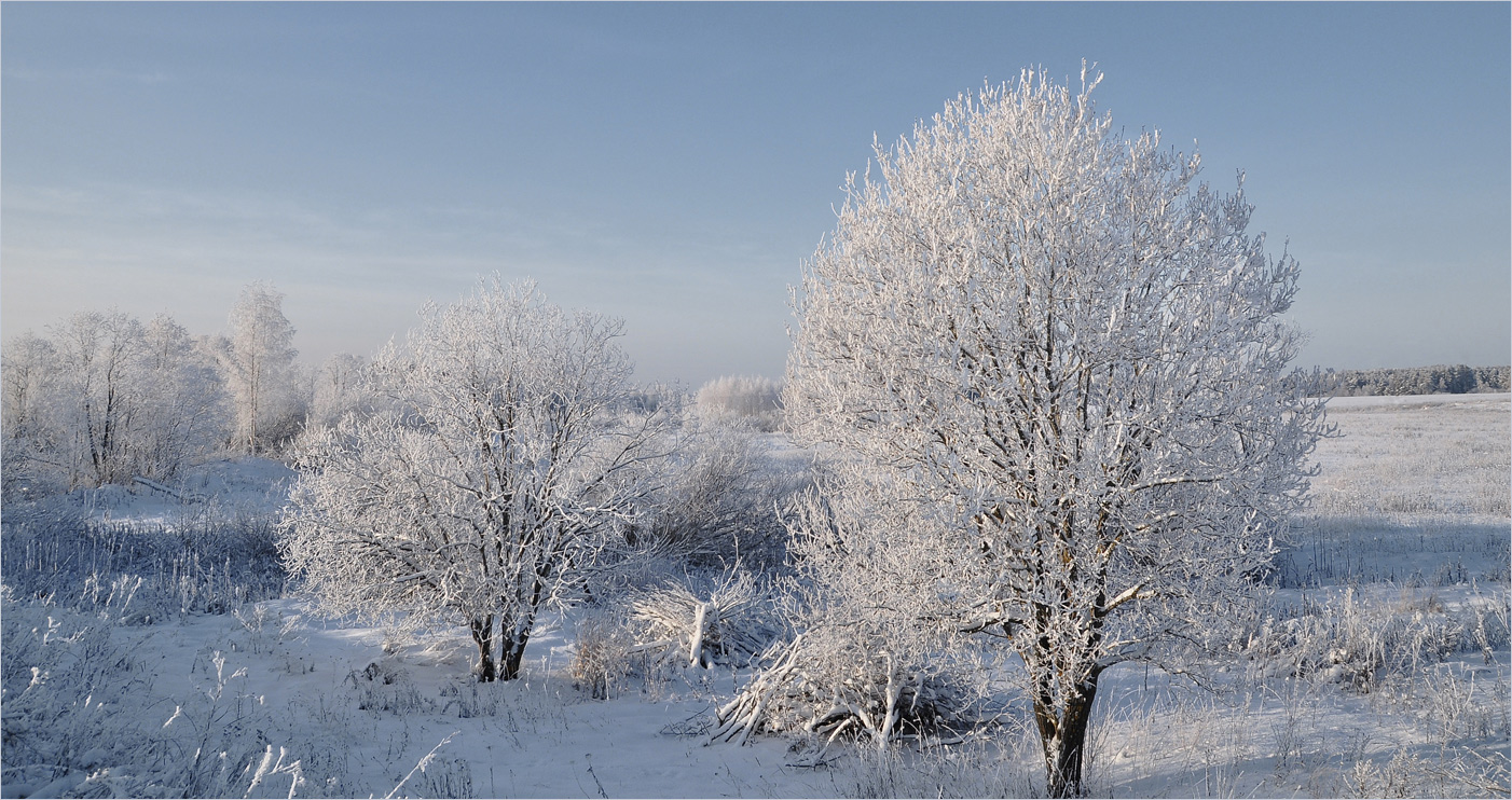 photo "***" tags: landscape, hoarfrost, snow, winter, деревья