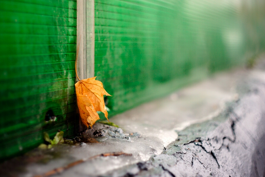 photo "***" tags: , 