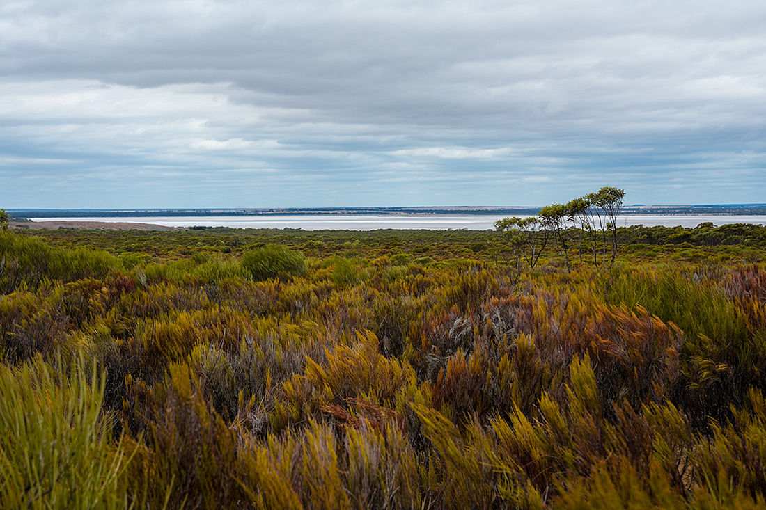 photo "***" tags: landscape, bush, clouds, colours, lake, sky, степь