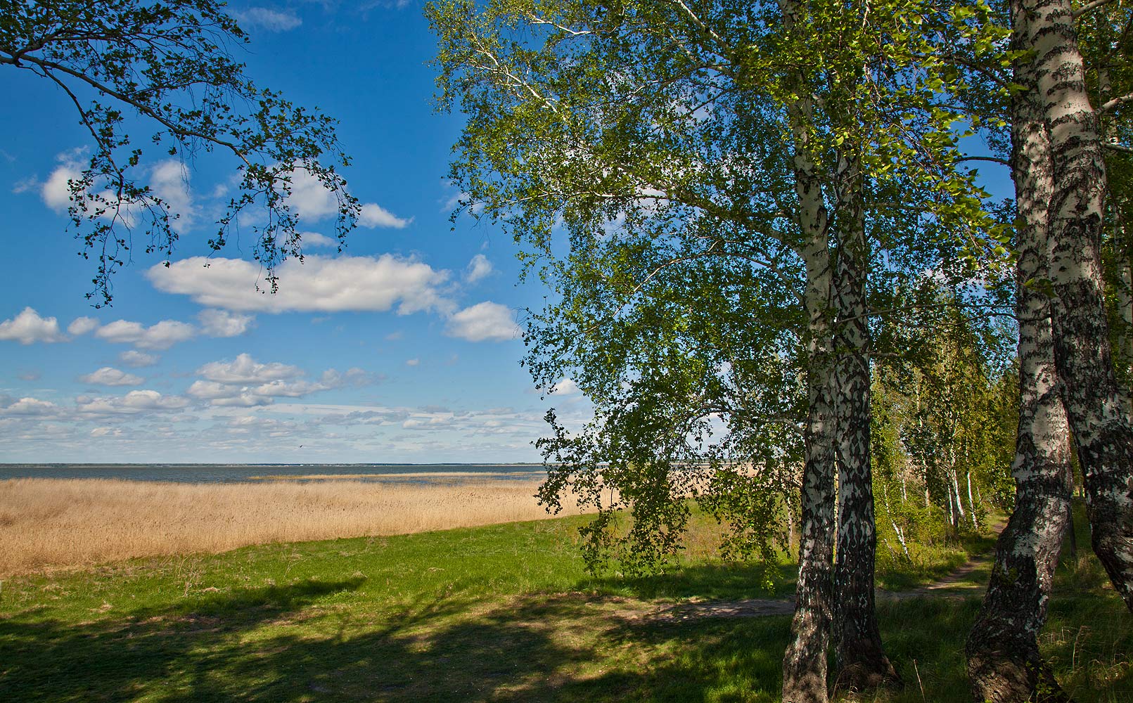 Березки белгородская область