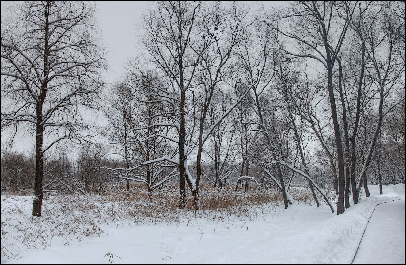 photo "snow" tags: landscape, nature, 