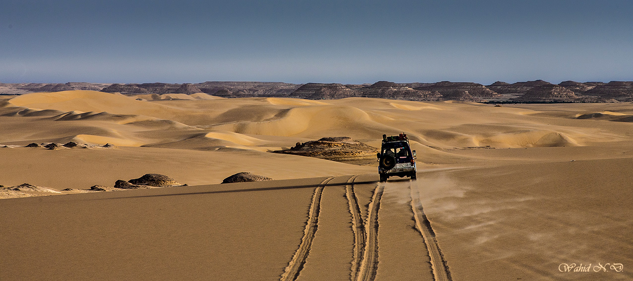 photo "Desert Safari1" tags: landscape, travel, nature, Africa, Sand, desert