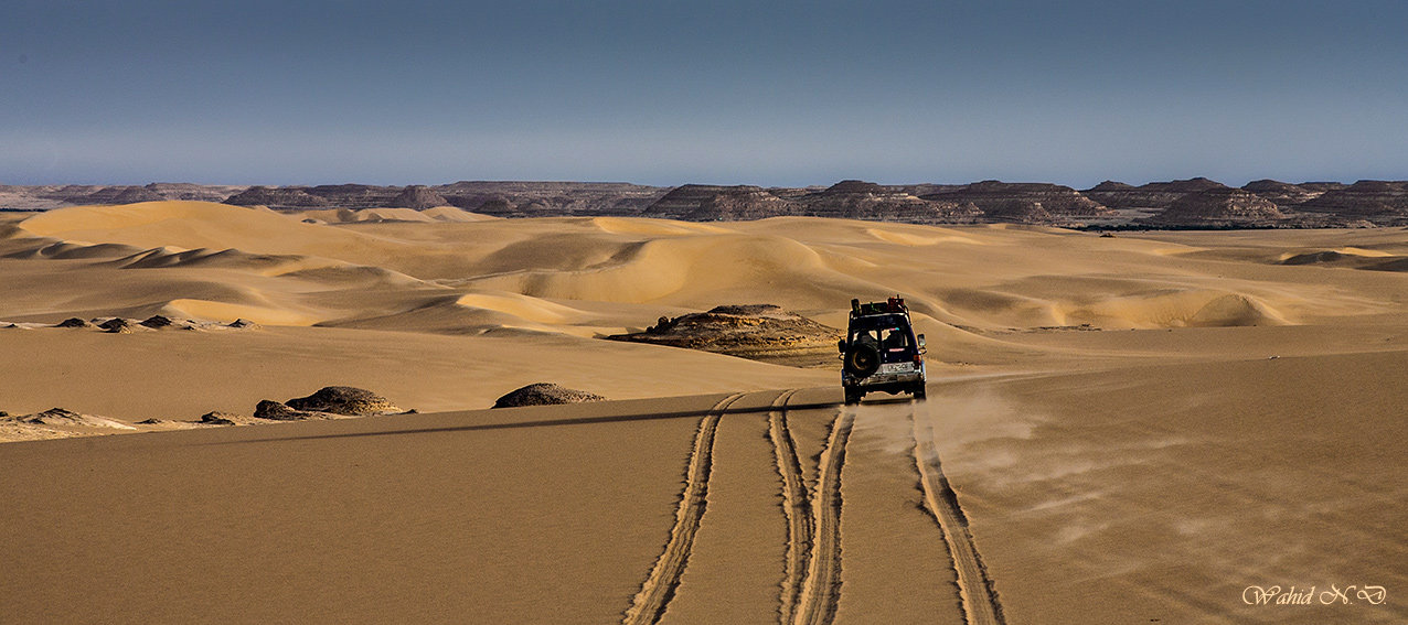 фото "Desert Safari1" метки: пейзаж, путешествия, природа, Sand, desert, Африка