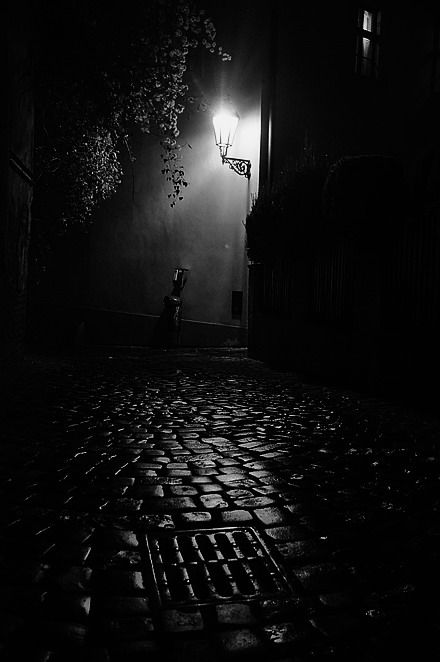 фото "Ночной  фонарь и канализационный люк" метки: черно-белые, Prag, Praha, Прага