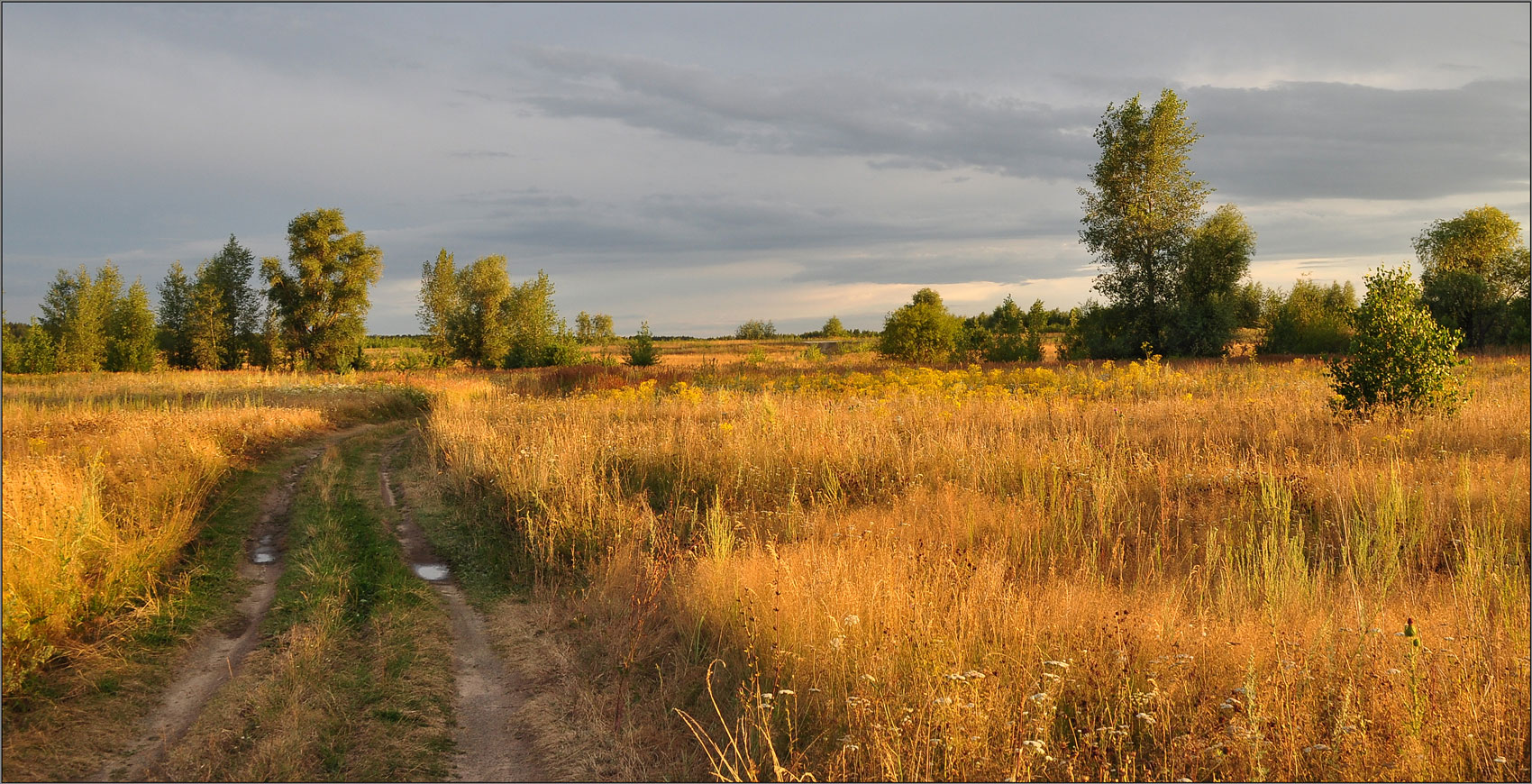 photo "***" tags: landscape, nature, clouds, flowers, grass, road, summer, sun, деревья, тени