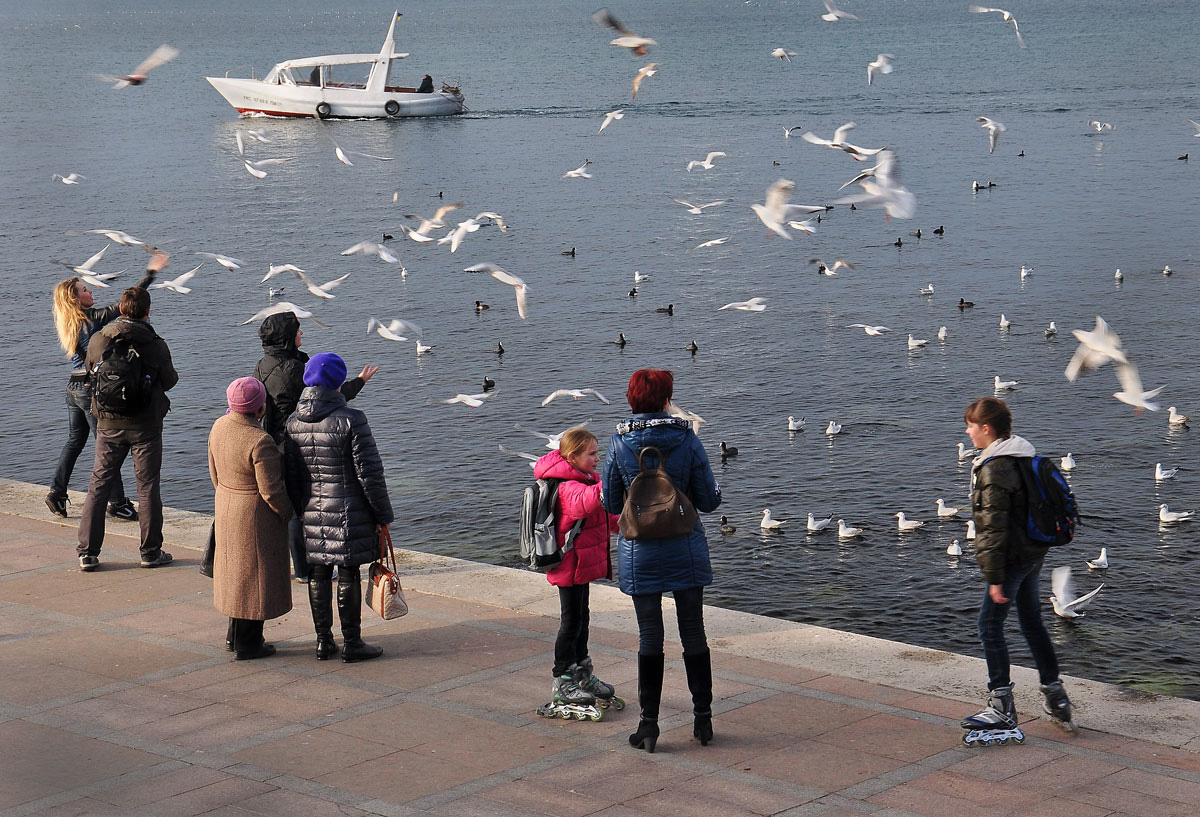 фото "Люди и птицы 2" метки: жанр, люди, море, птицы