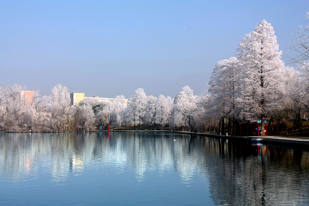 photo "***" tags: landscape, city, Bucharest, parks, trees, water, winter