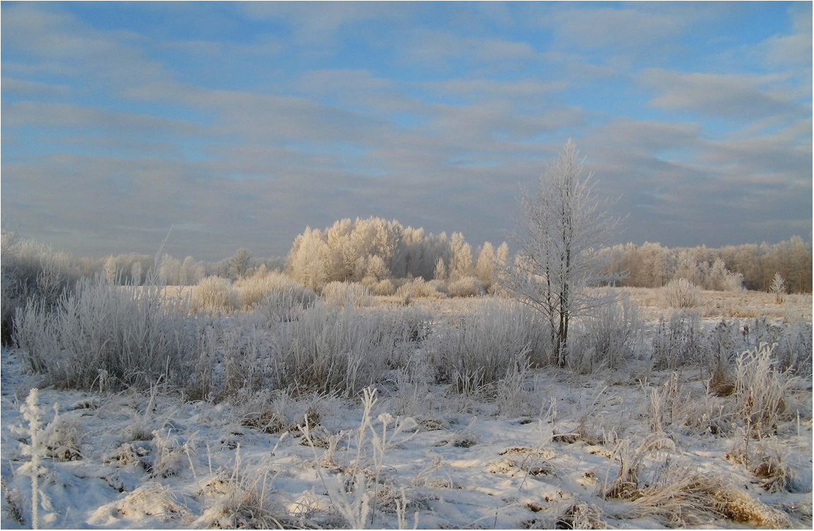 photo "Hoarfrost." tags: landscape, hoarfrost, snow, winter, декабрь