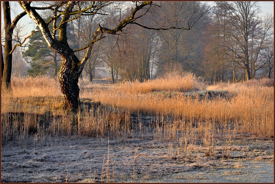 фото "***" метки: пейзаж, природа, 