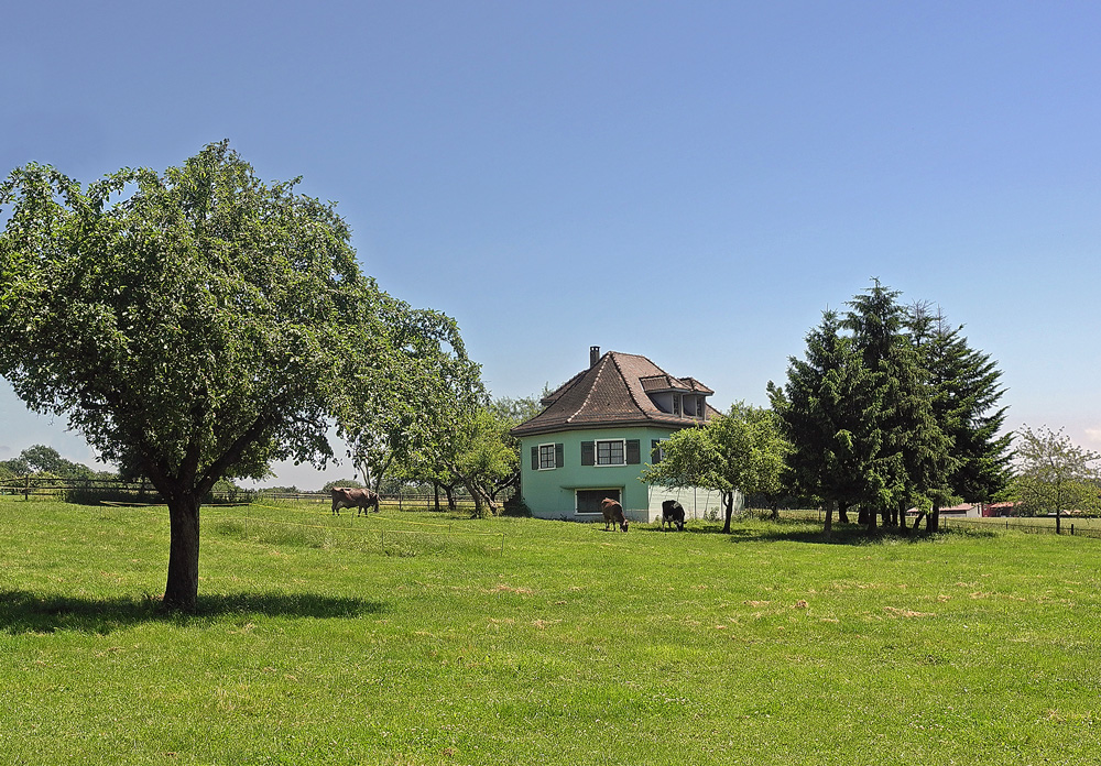 photo "Pastoral or The Swiss trick" tags: landscape, reporting, 