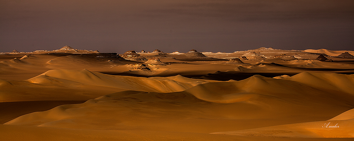 photo "The desert" tags: landscape, Landscape
