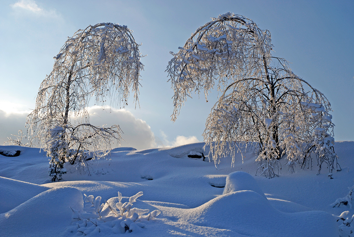 photo "***" tags: landscape, nature, winter