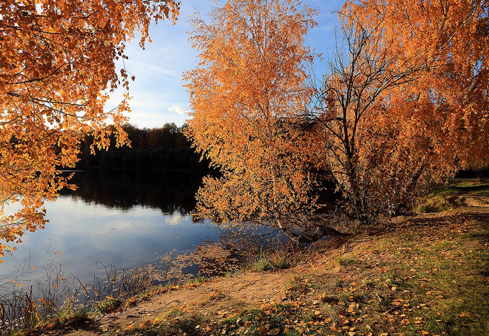 photo "***" tags: nature, landscape, 