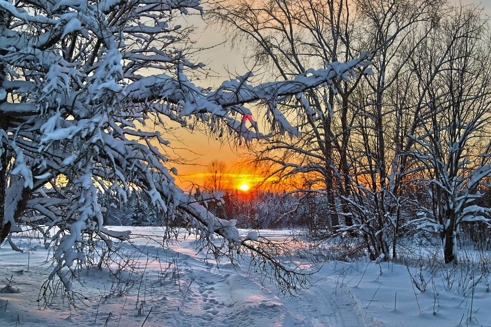 photo "***" tags: landscape, nature, sunset, winter