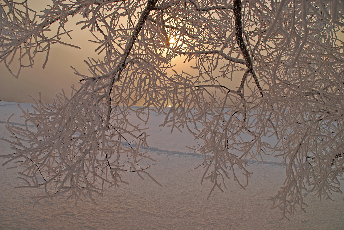 photo "***" tags: landscape, nature, fog, hoarfrost, river, winter, рассвет.