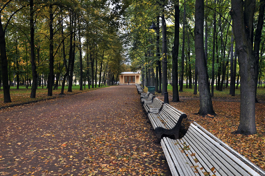 photo "***" tags: landscape, city, St. Petersburg, autumn, park