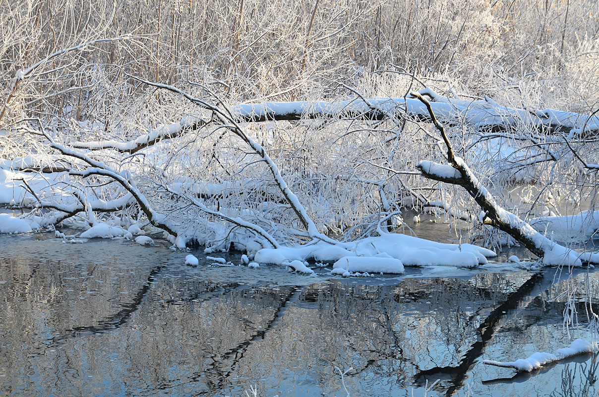 photo "***" tags: landscape, 