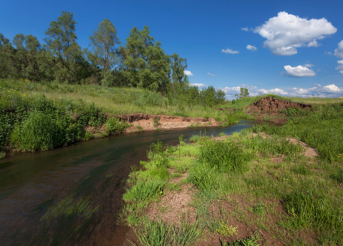 photo "***" tags: landscape, clouds, grass, sky, summer, water, Речка, деревья, течение