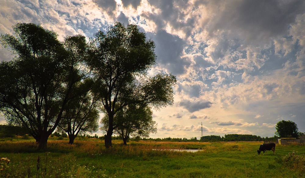 photo "***" tags: , clouds, sky, summer, sun, деревня