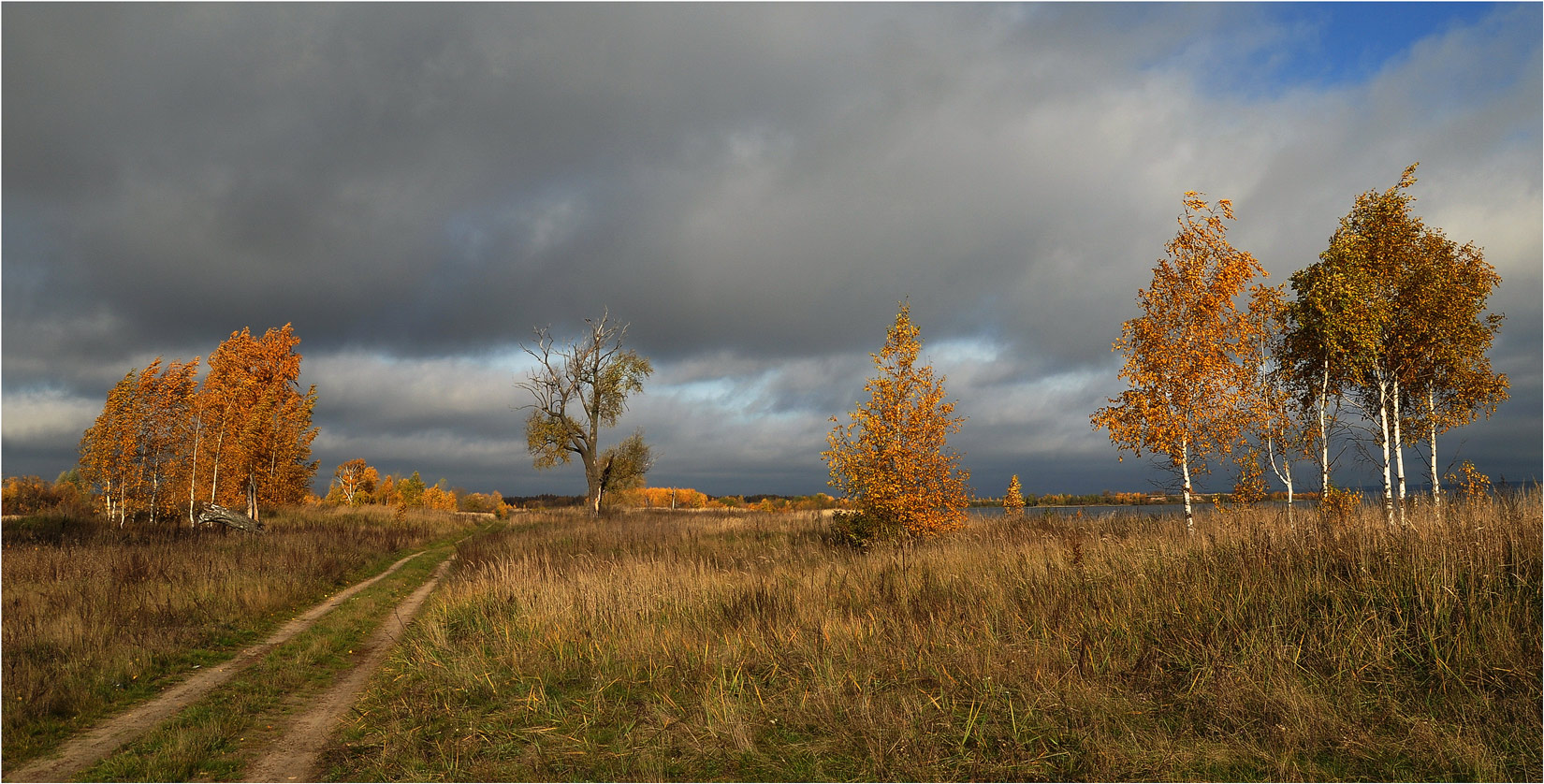 photo "***" tags: landscape, autumn, clouds, grass, road, water, деревья