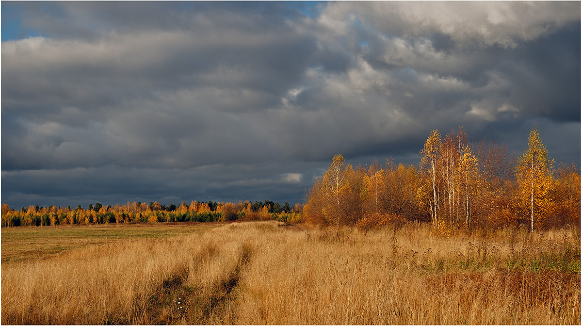 photo "***" tags: landscape, nature, autumn