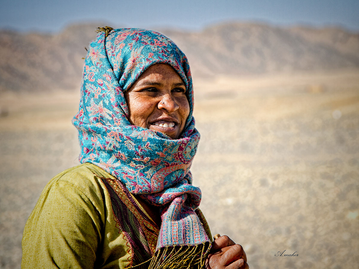 photo "Sheep guard" tags: portrait, Portrait