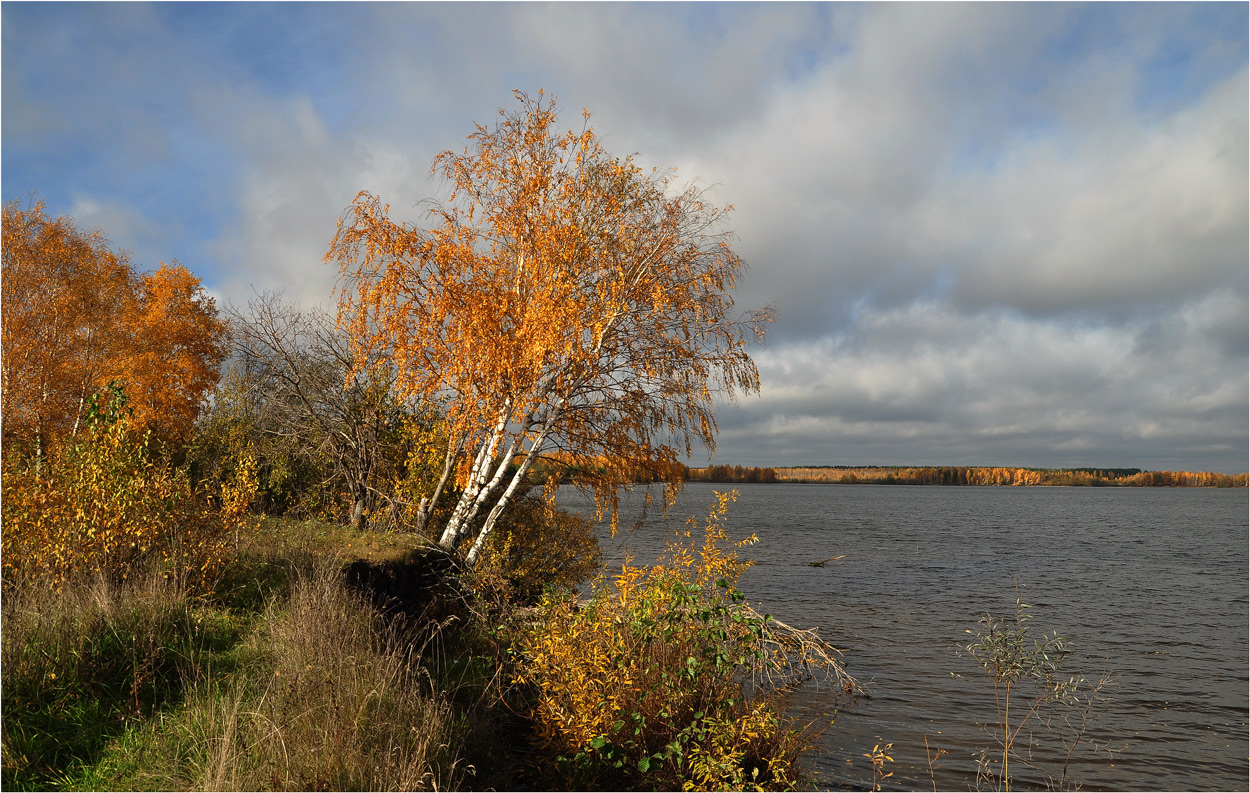 photo "***" tags: landscape, autumn, birches, grass, river, water