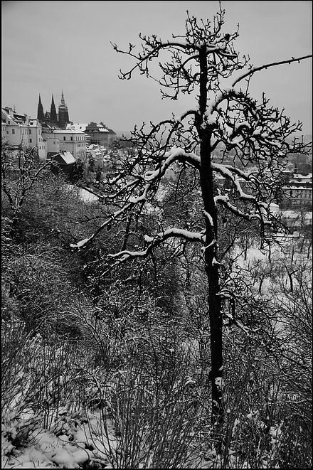 photo "Зимняя атмосфера" tags: black&white, Prag, Prague, Praha