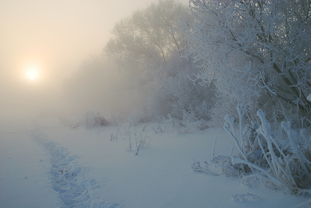 photo "***" tags: landscape, fog, hoarfrost, winter, солнце.