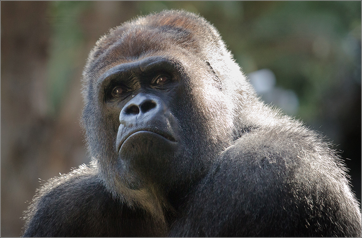 photo "Thinker" tags: travel, nature, 