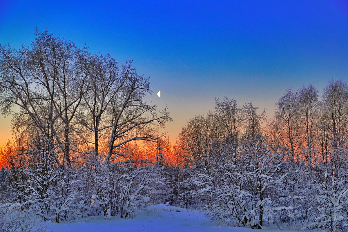 photo "***" tags: landscape, nature, forest, winter