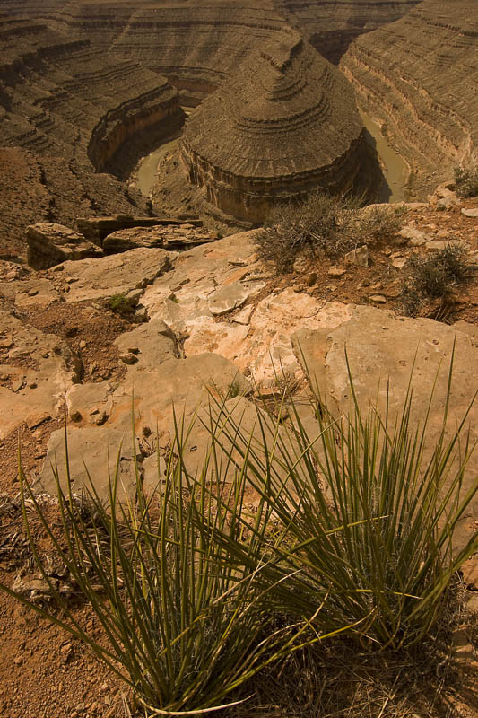 фото "San Juan River Gooseneck" метки: пейзаж, природа, San Juan River, Sand, Utah, Western