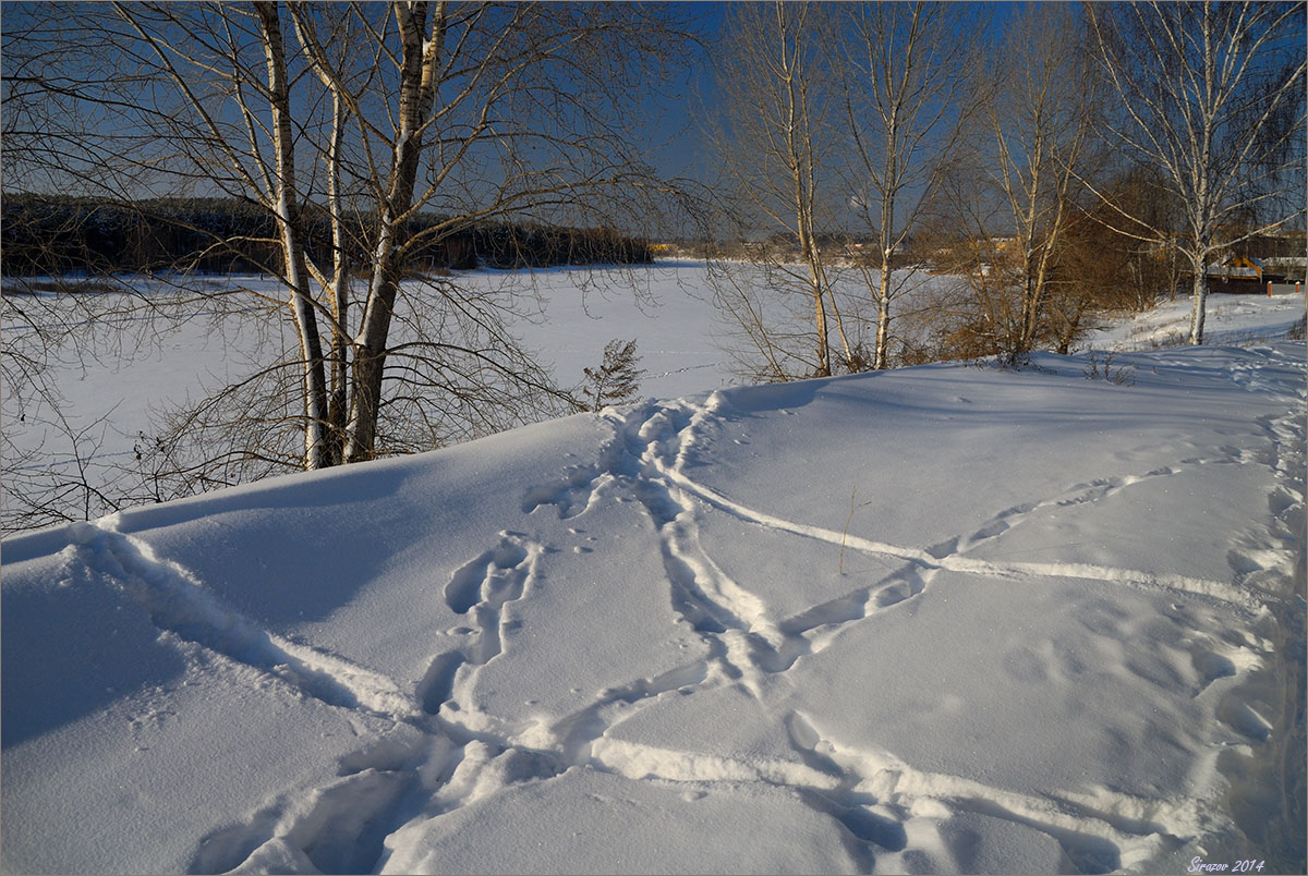 photo "Frosty winter day" tags: landscape, 