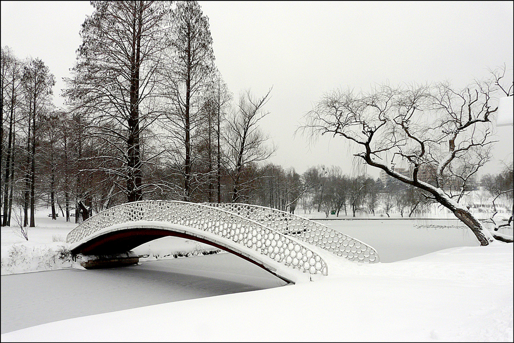 photo "***" tags: landscape, black&white, city, Bucharest, bridge, parks, snow, trees, winter