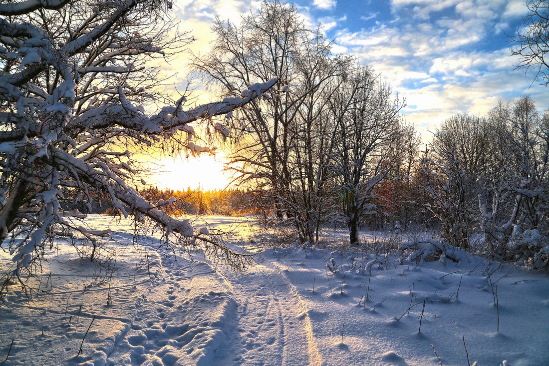 photo "***" tags: landscape, nature, sunset, winter