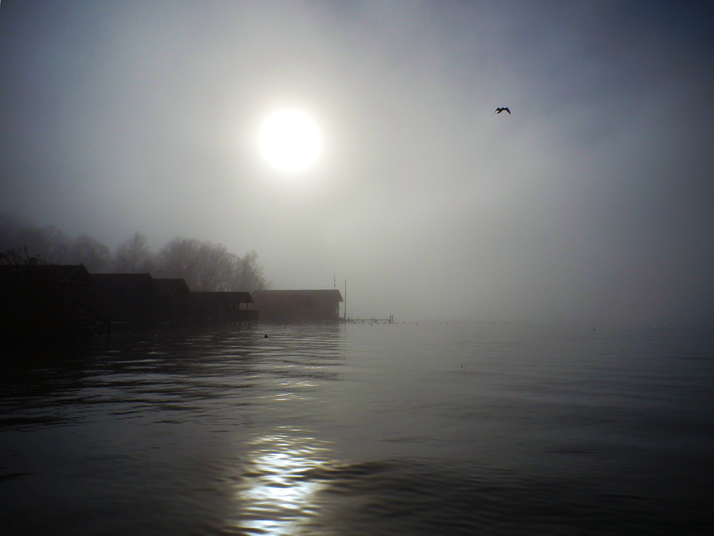 photo "Foggy lake" tags: landscape, nature, 